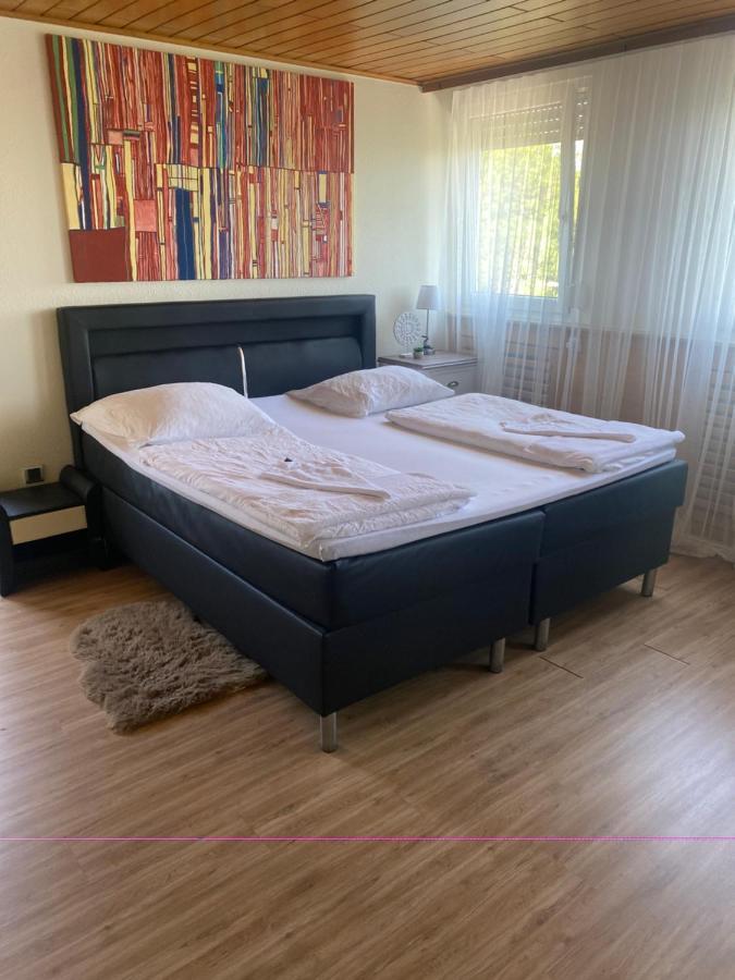 טרייר Zur Schoenen Aussicht מראה חיצוני תמונה